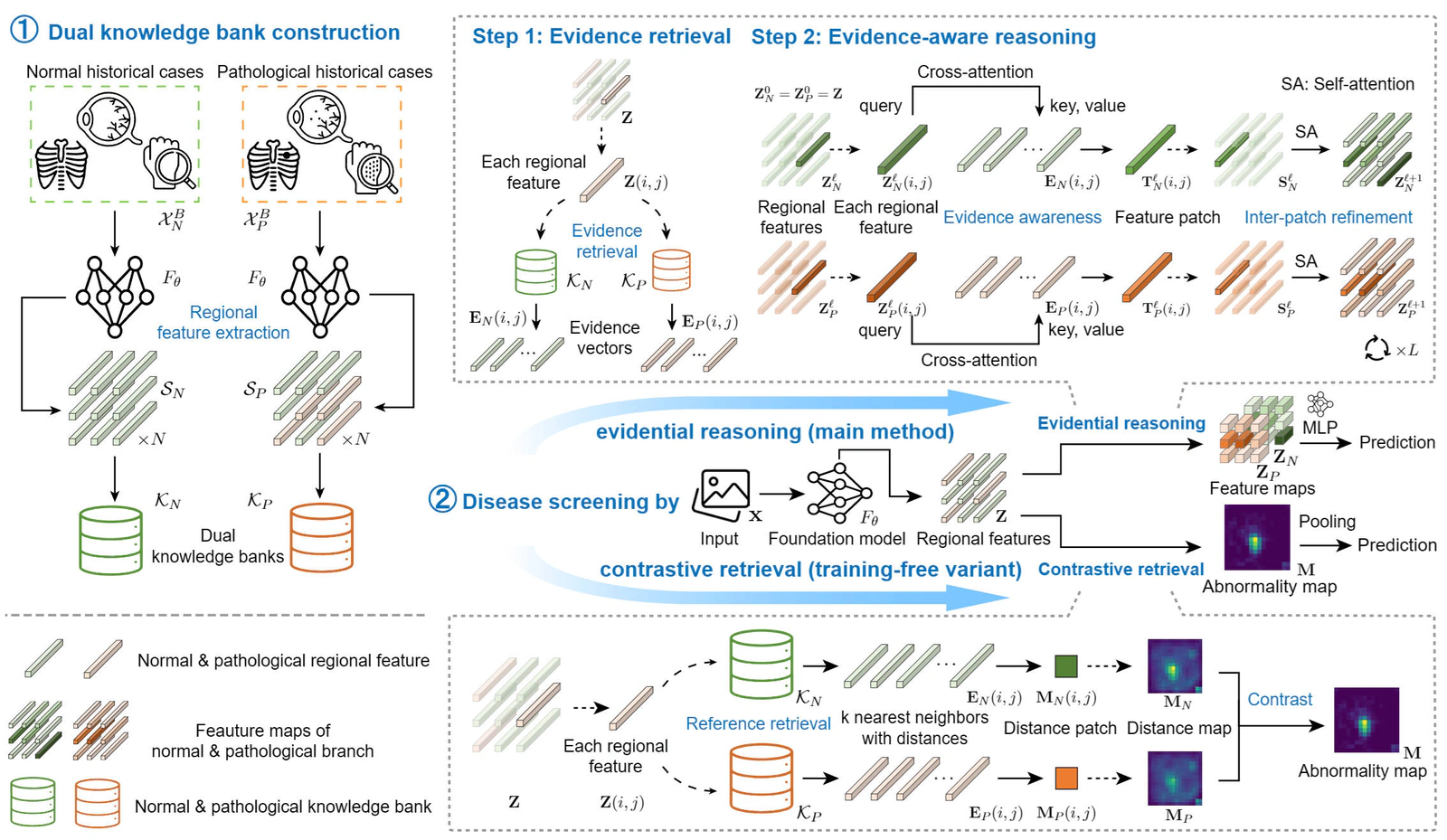 Evidential Reasoning Advances Interpretable Real-World Disease Screening